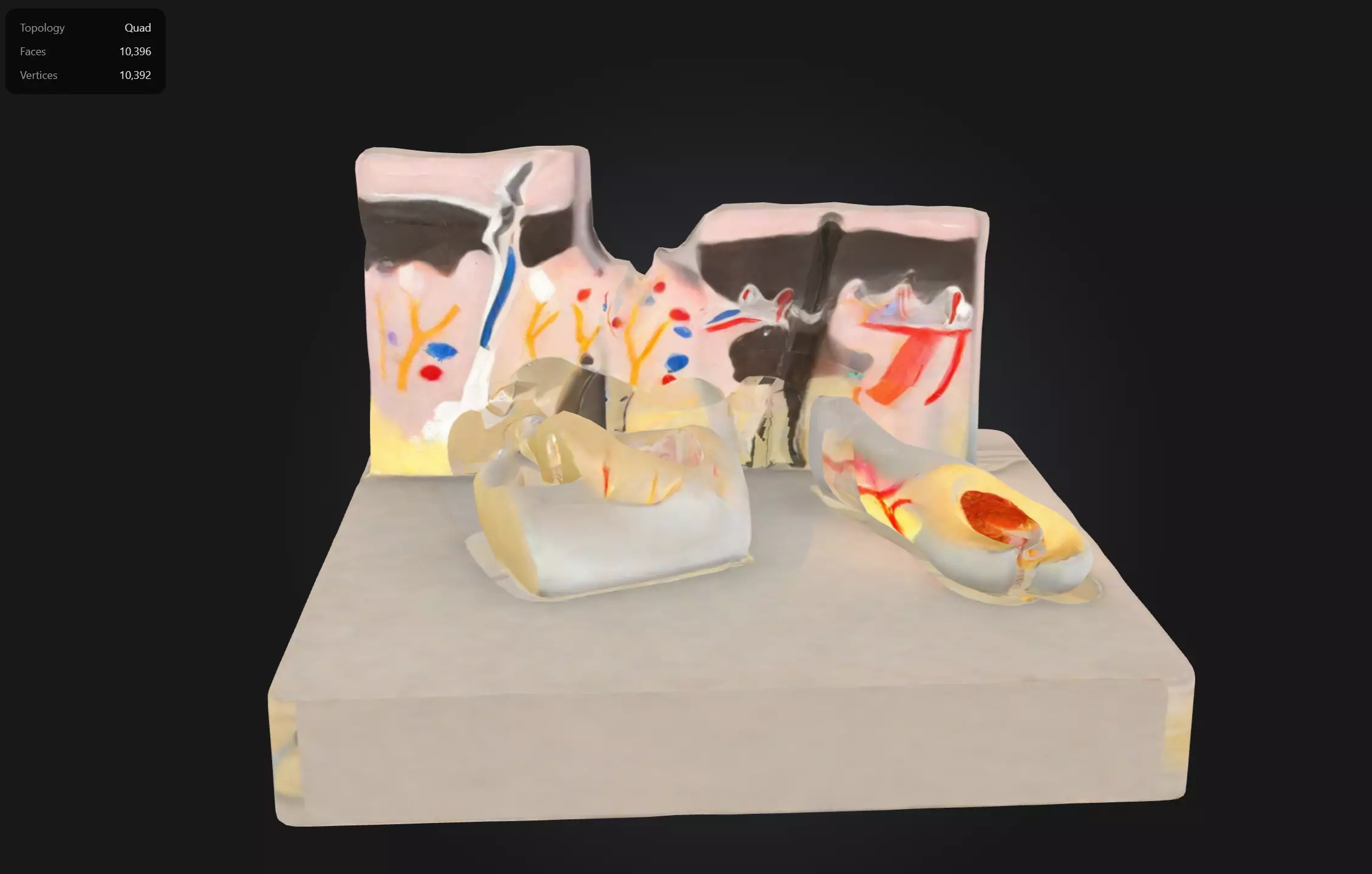 Anatomy Lab Skin Nail and Hair Structure Anatomy Model  3D print model_0