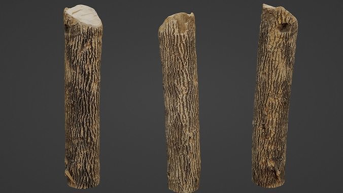 Tree Trunk Cutted Low-poly 3D model