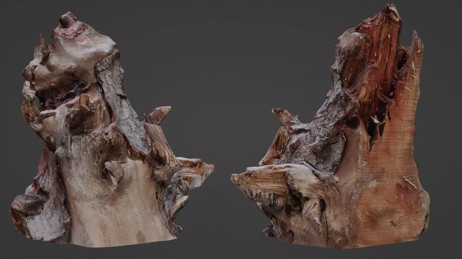 Trunk Scanned Low-poly 3D model_0