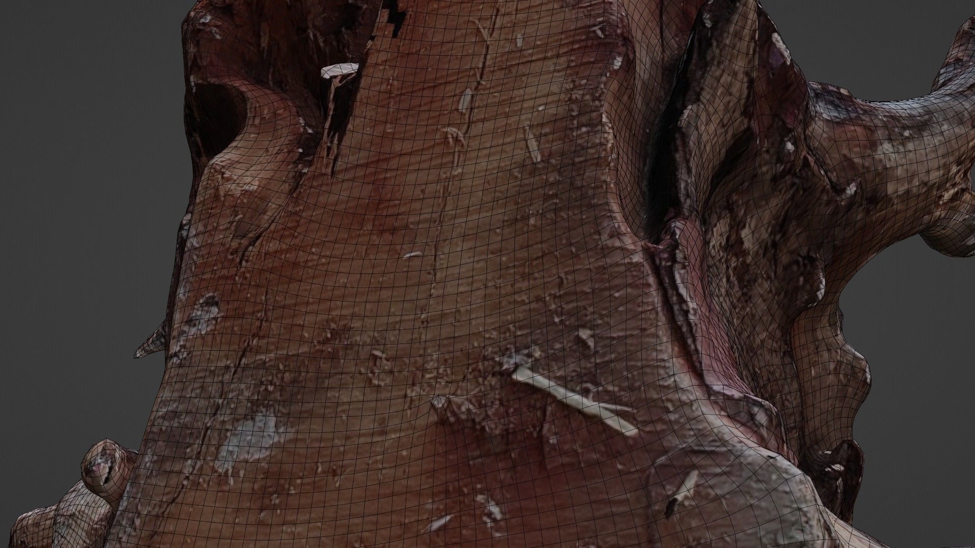 Trunk Scanned Low-poly 3D model_4