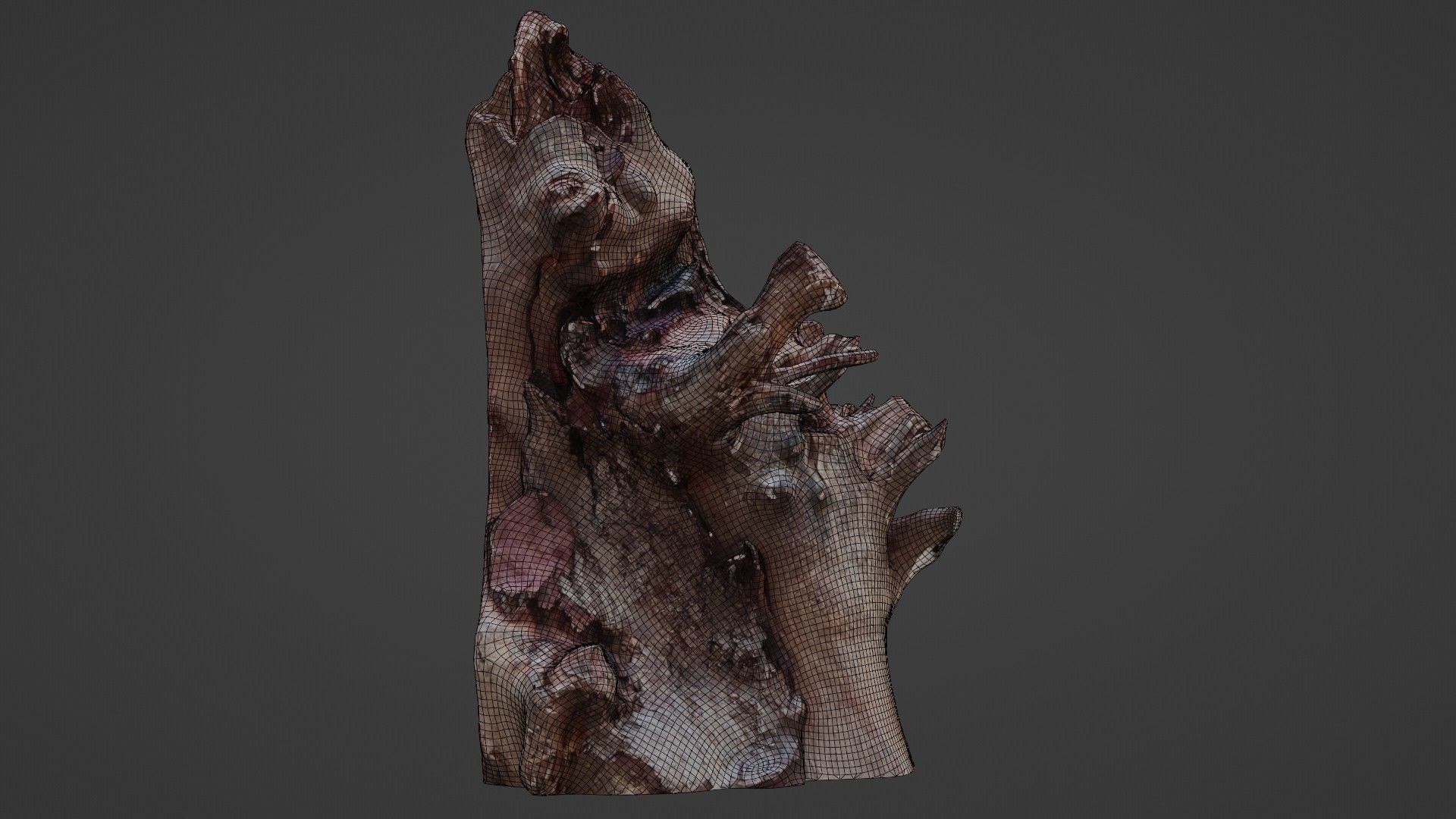 Trunk Scanned Low-poly 3D model_2