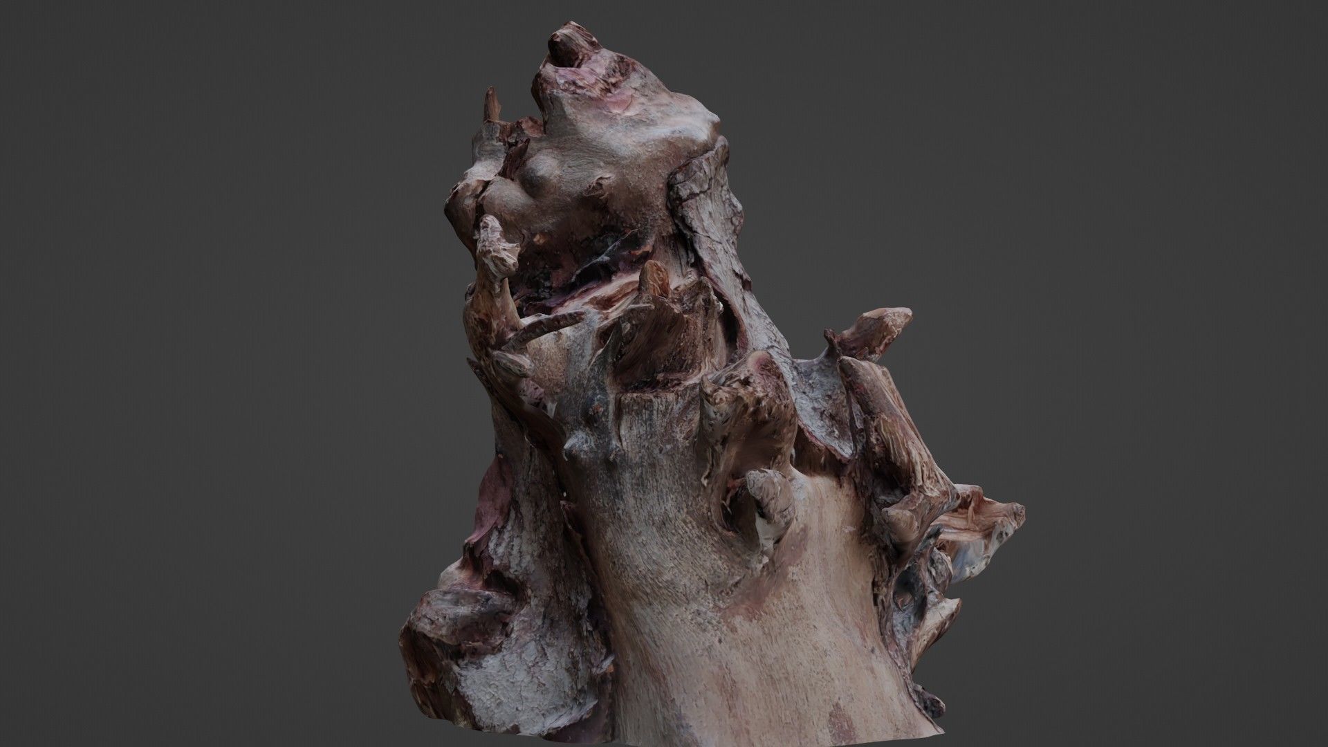 Trunk Scanned Low-poly 3D model_5