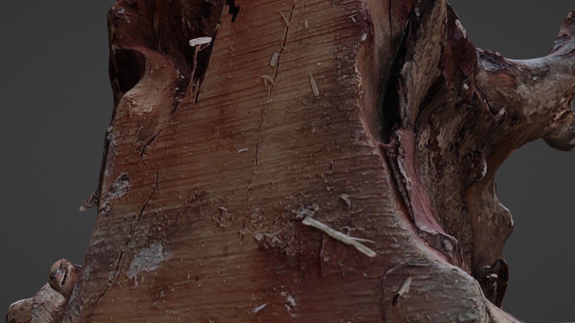 Trunk Scanned Low-poly 3D model_3