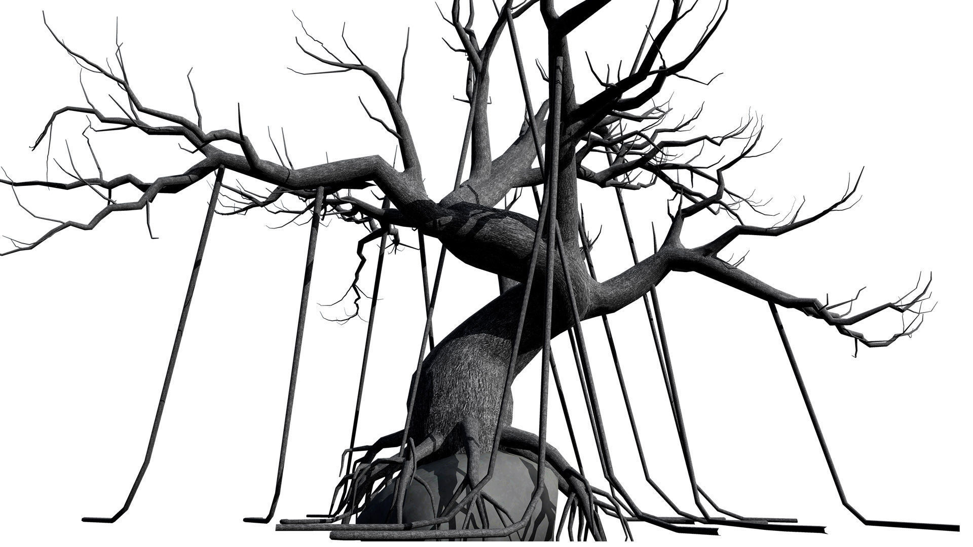 CreepyTrees 3D model Low-poly 3D model_7