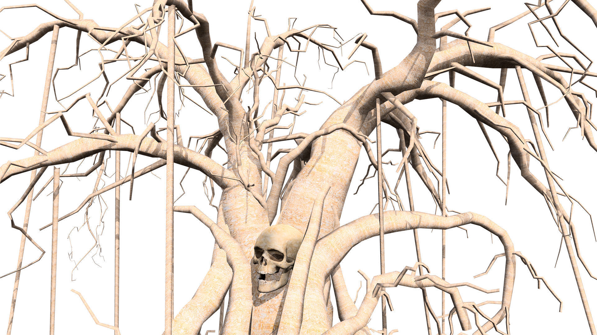 CreepyTrees 3D model Low-poly 3D model_5