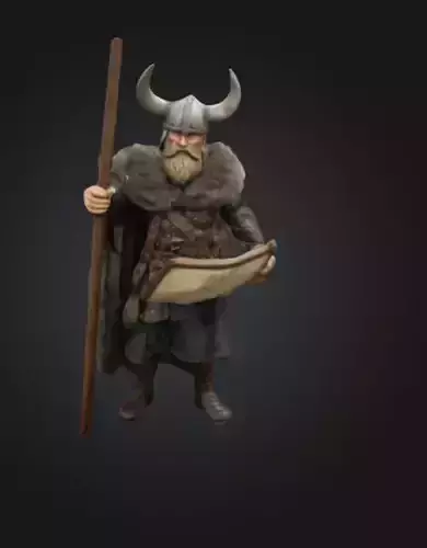 Viking explorer