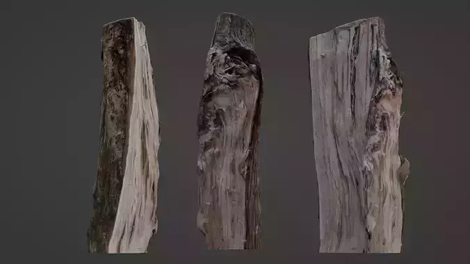 Cutted Log Low-poly 3D model