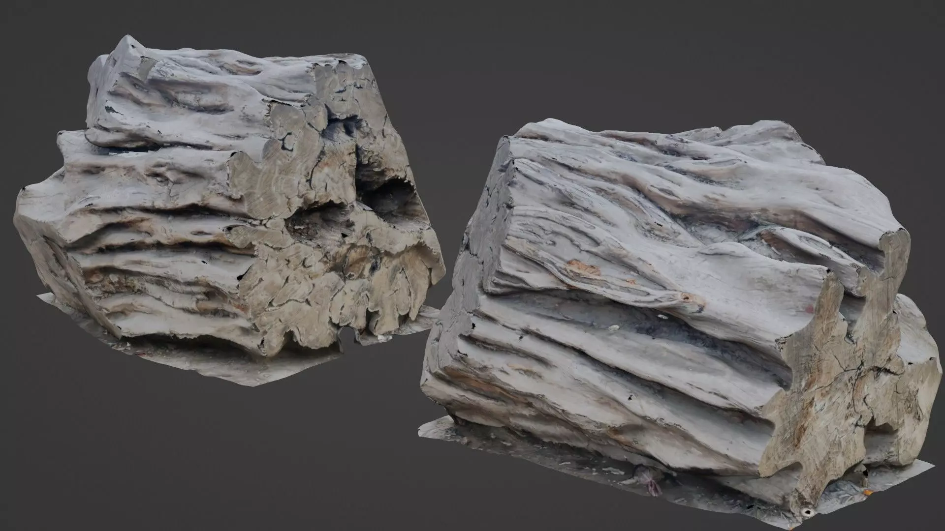 Tree Trunk Scanned Low-poly 3D model
