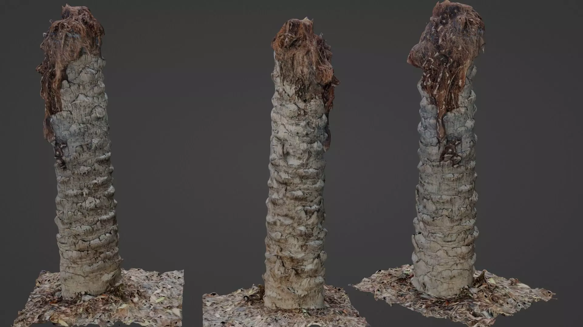 Palm Tree Trunk Low-poly 3D model_0