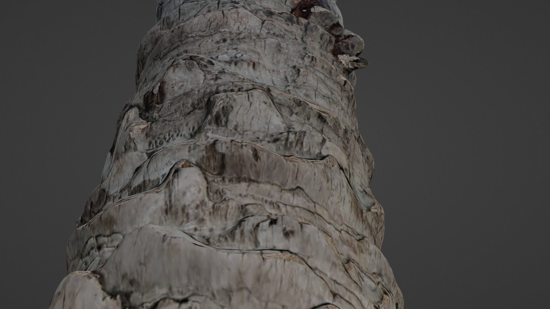 Palm Tree Trunk Low-poly 3D model_4