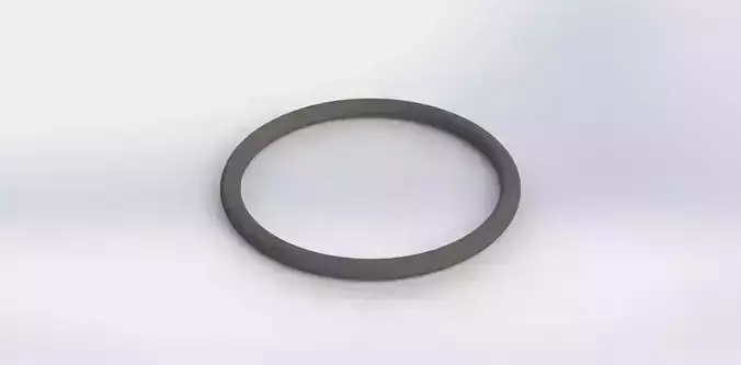 O Ring Vedabras 12119