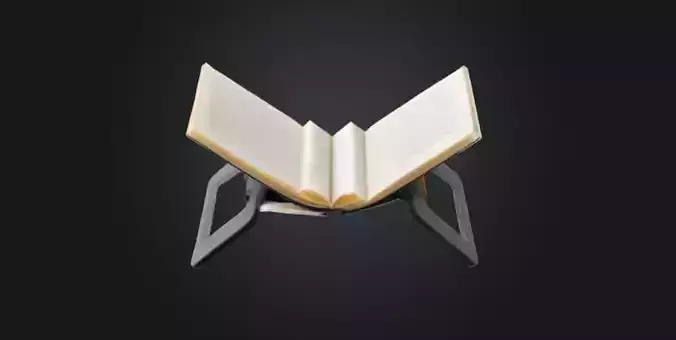 Ergonomic Page Holder