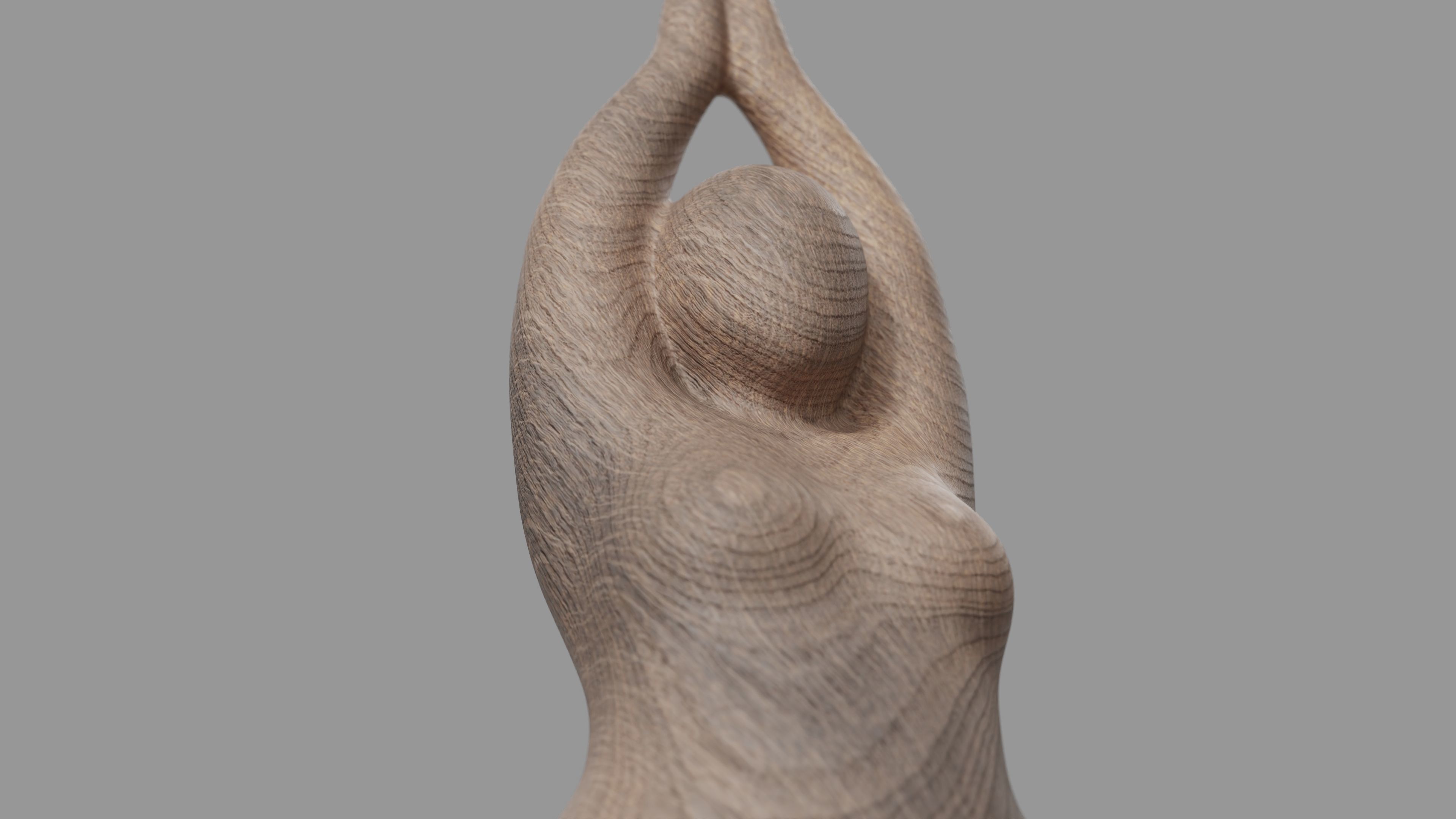 Tinah Deco 3D model_44