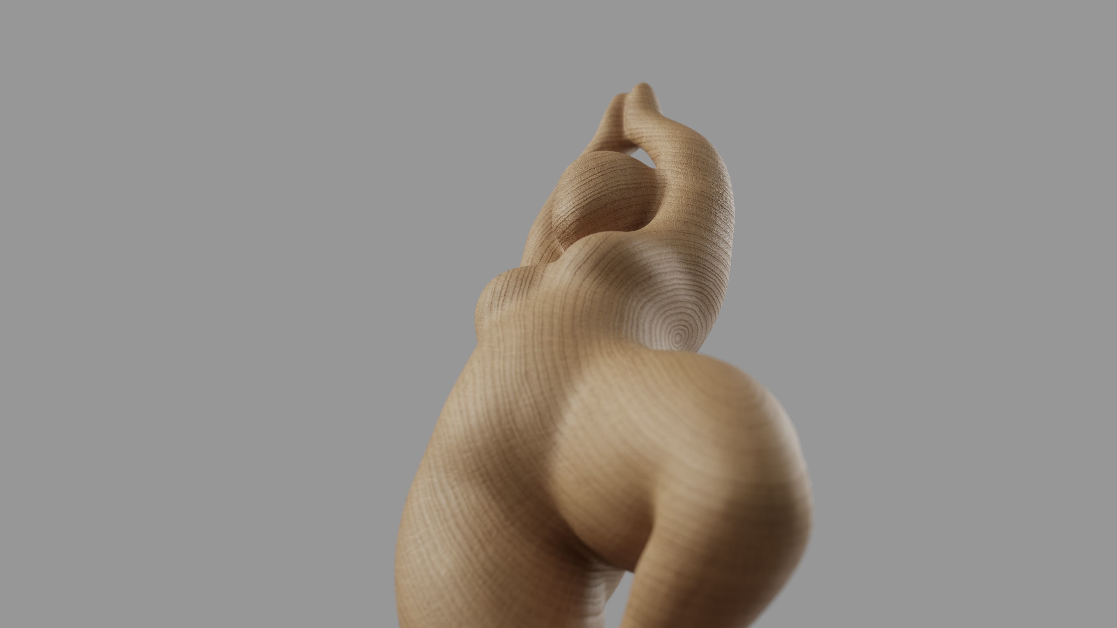 Tinah Deco 3D model_15