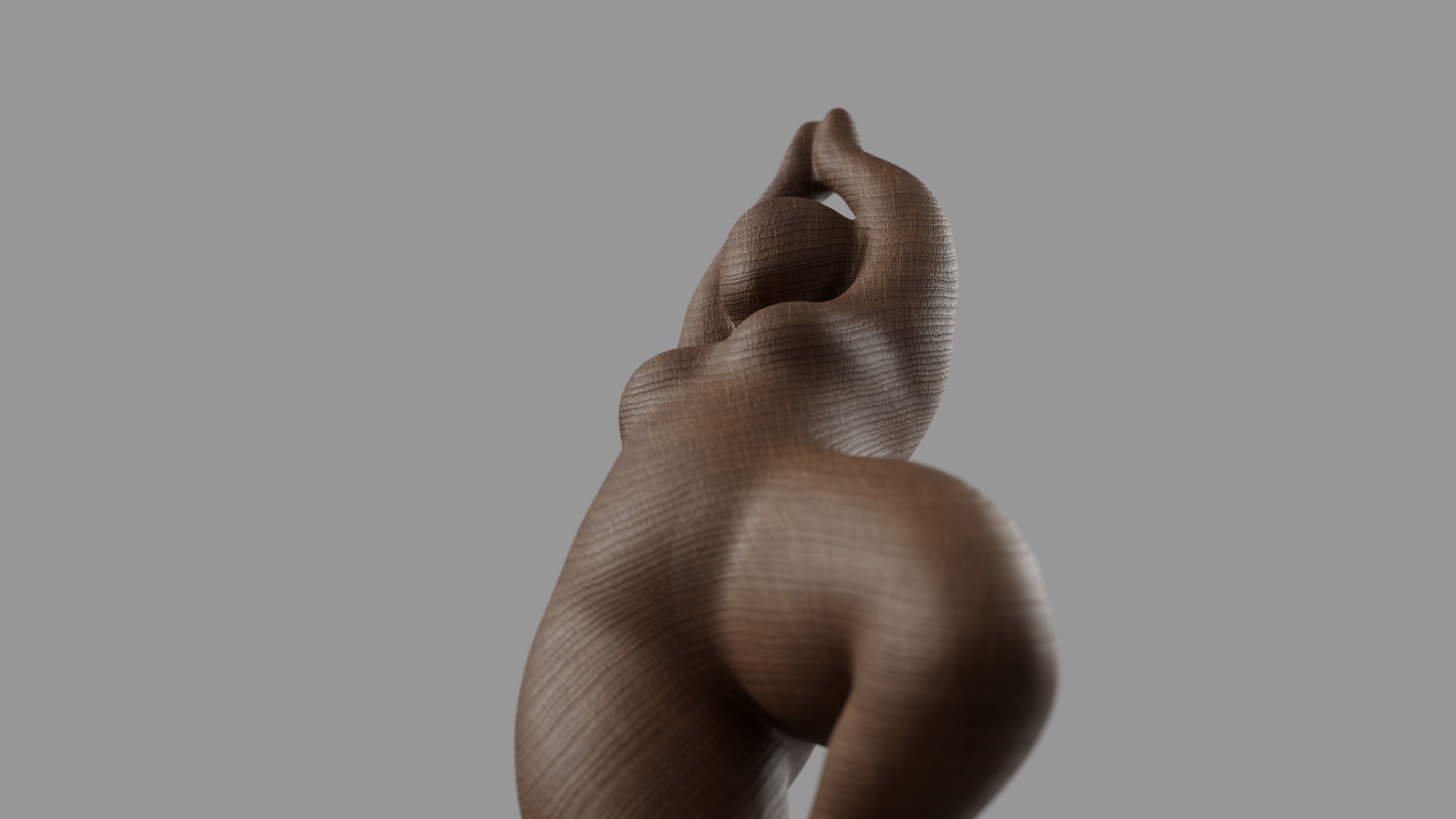 Tinah Deco 3D model_33