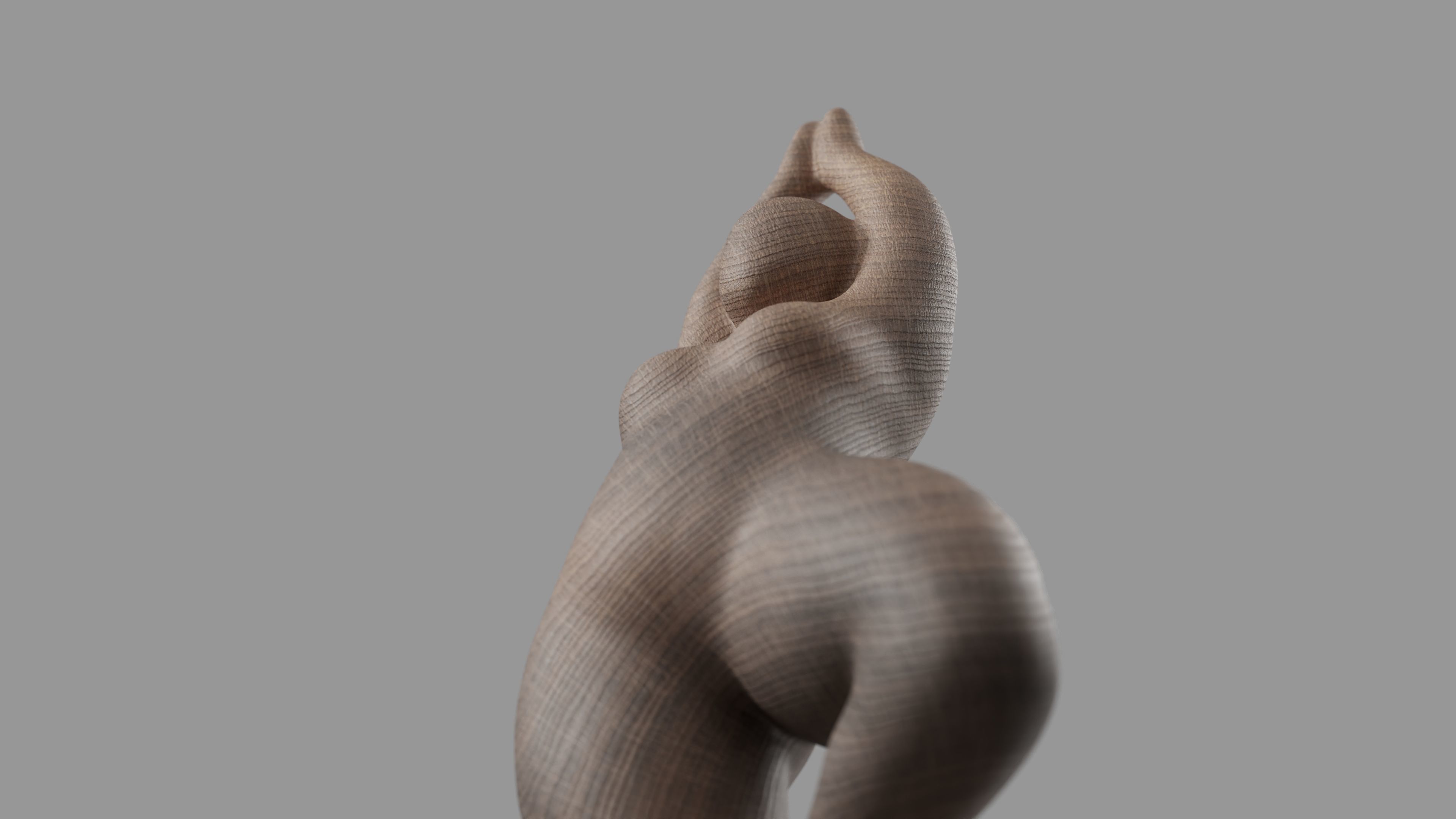 Tinah Deco 3D model_48