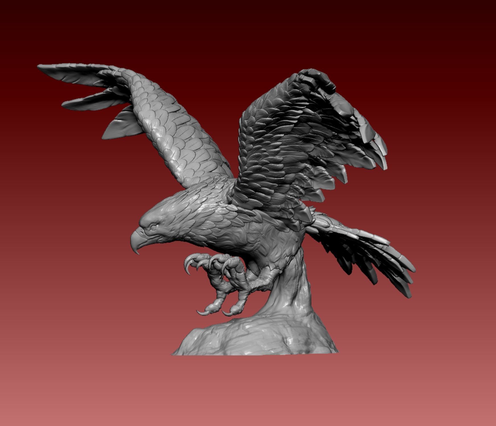 Falcon eagle 3D print model_4