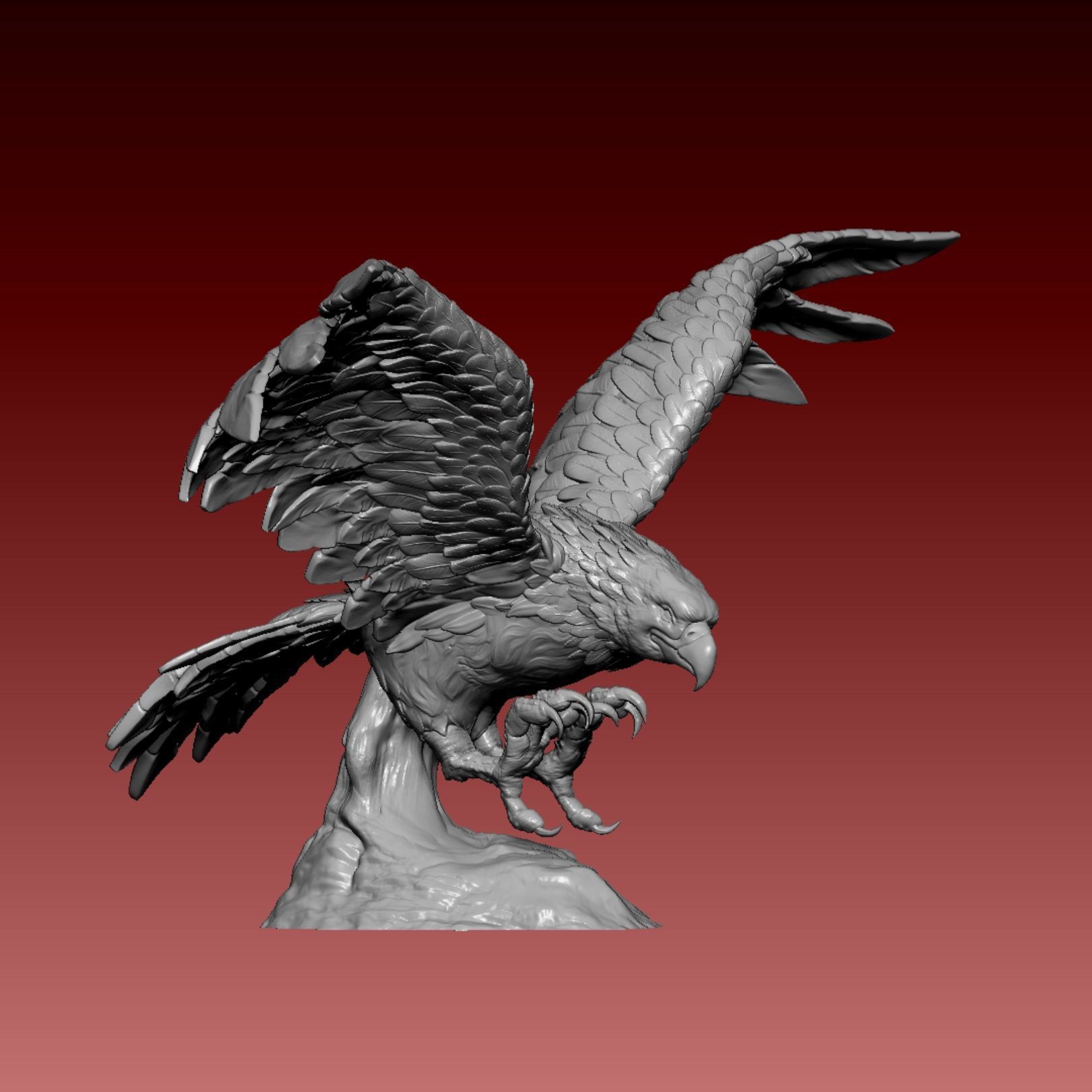 Falcon eagle 3D print model_5