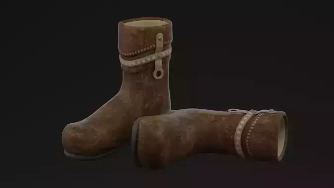 Brown Boots