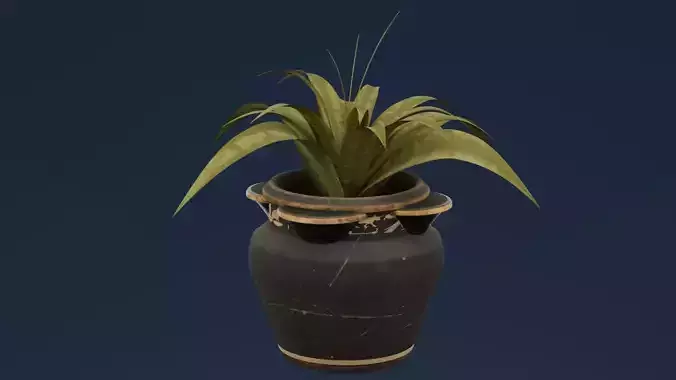 Ancient Egyptian Plant
