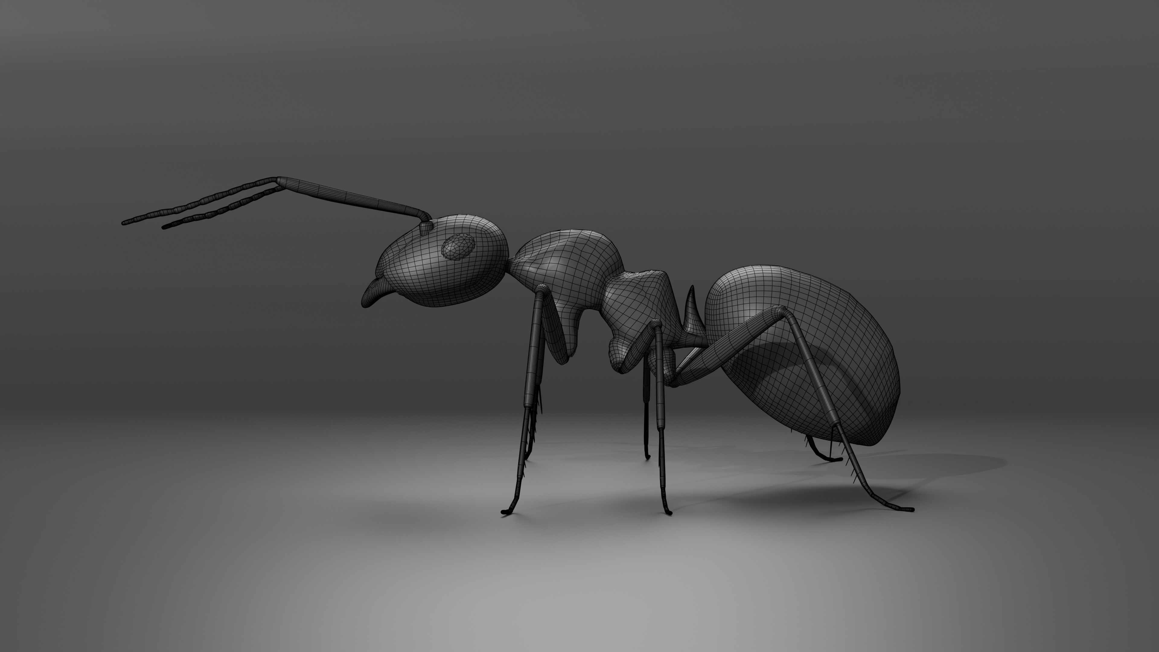 Ant 3D model Rigged 3D model_3