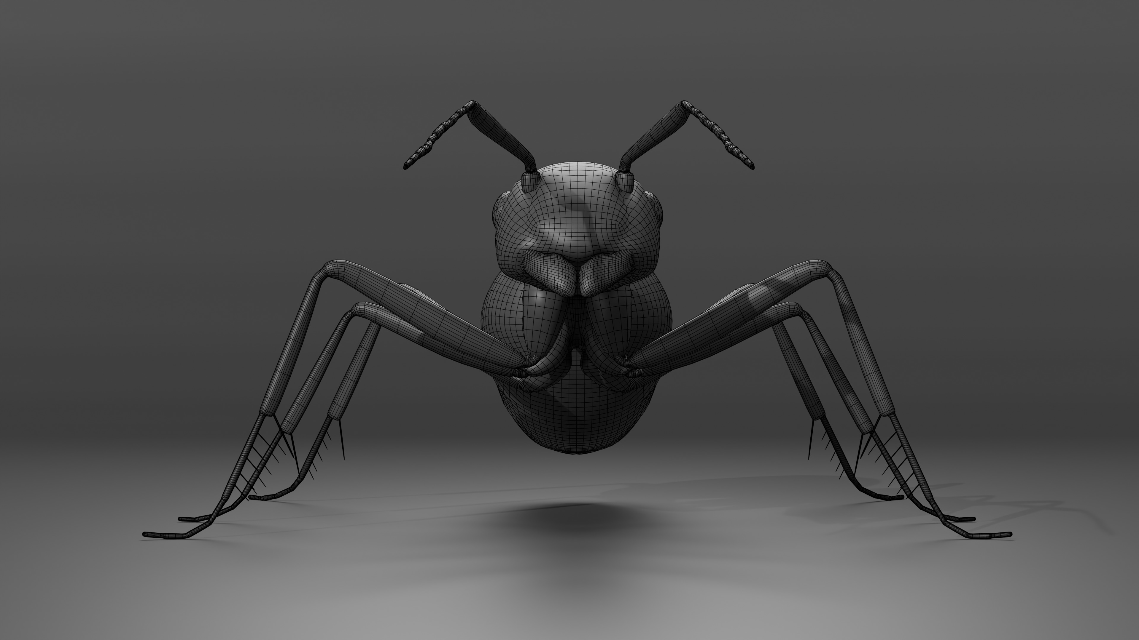 Ant 3D model Rigged 3D model_5