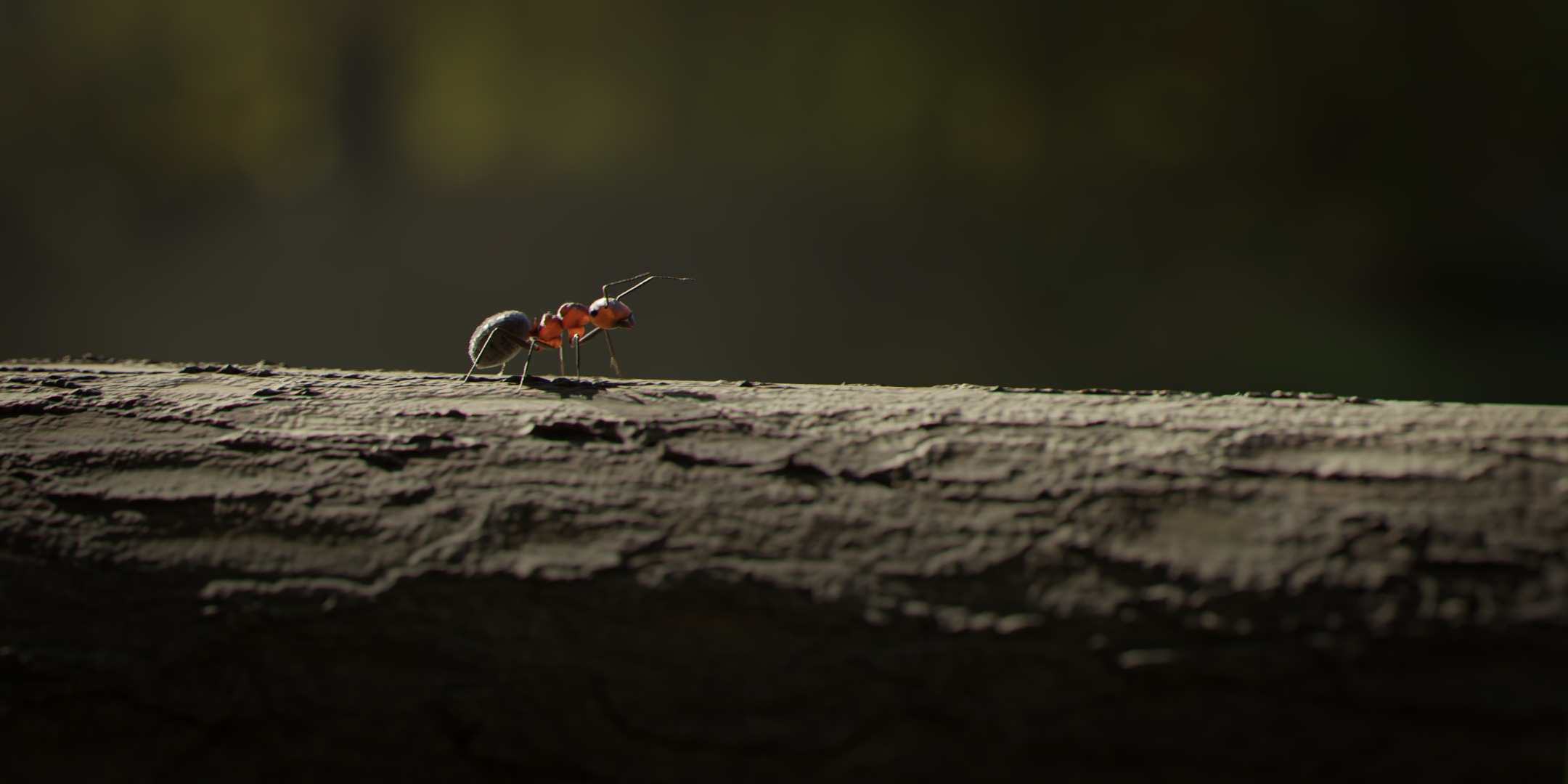 Ant 3D model Rigged 3D model_6