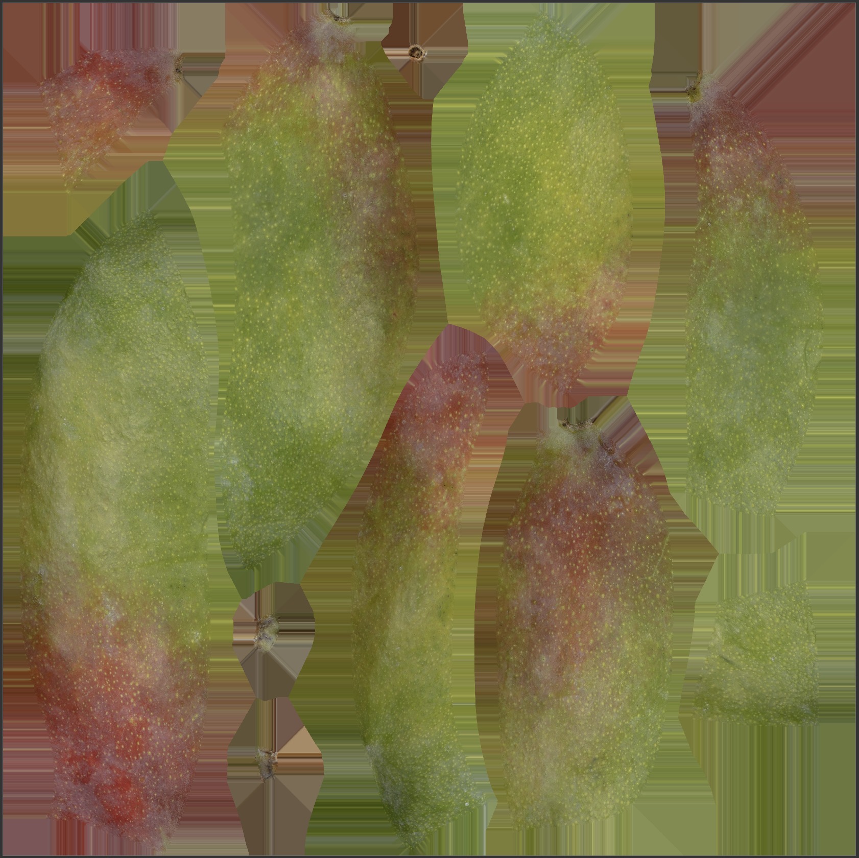 Mango Set 01 Low-poly 3D model_9