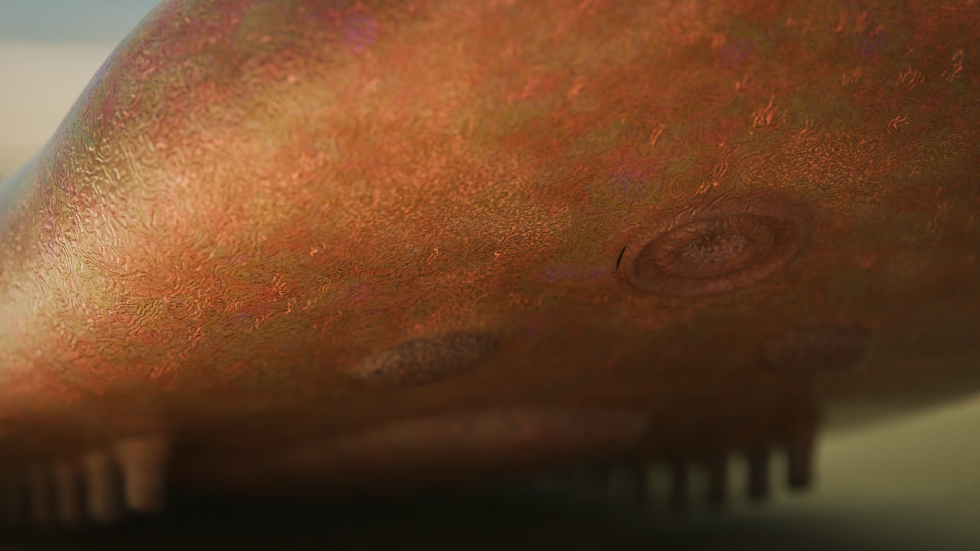  Odontogriphus Low-poly 3D model_4