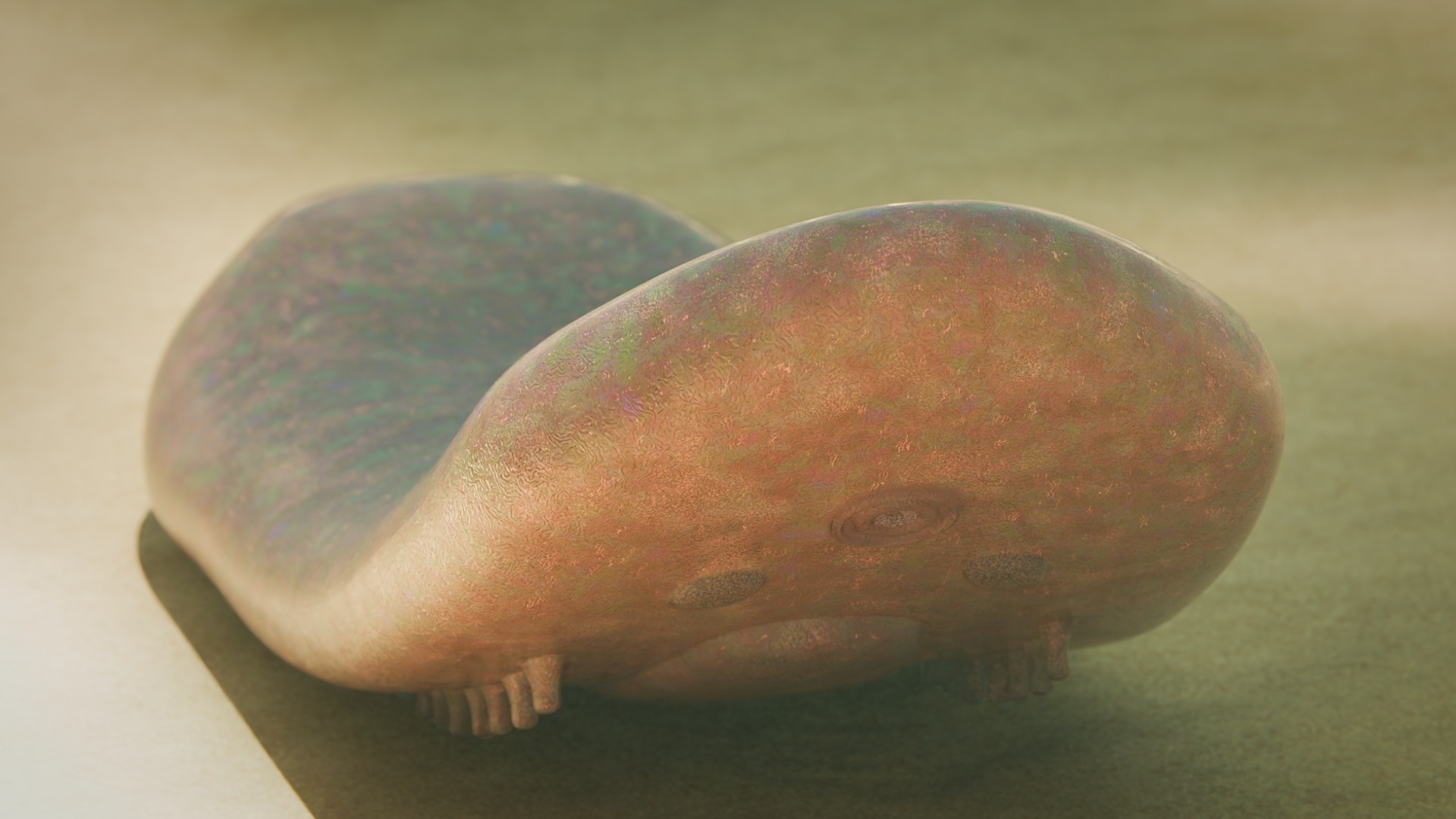  Odontogriphus Low-poly 3D model_6