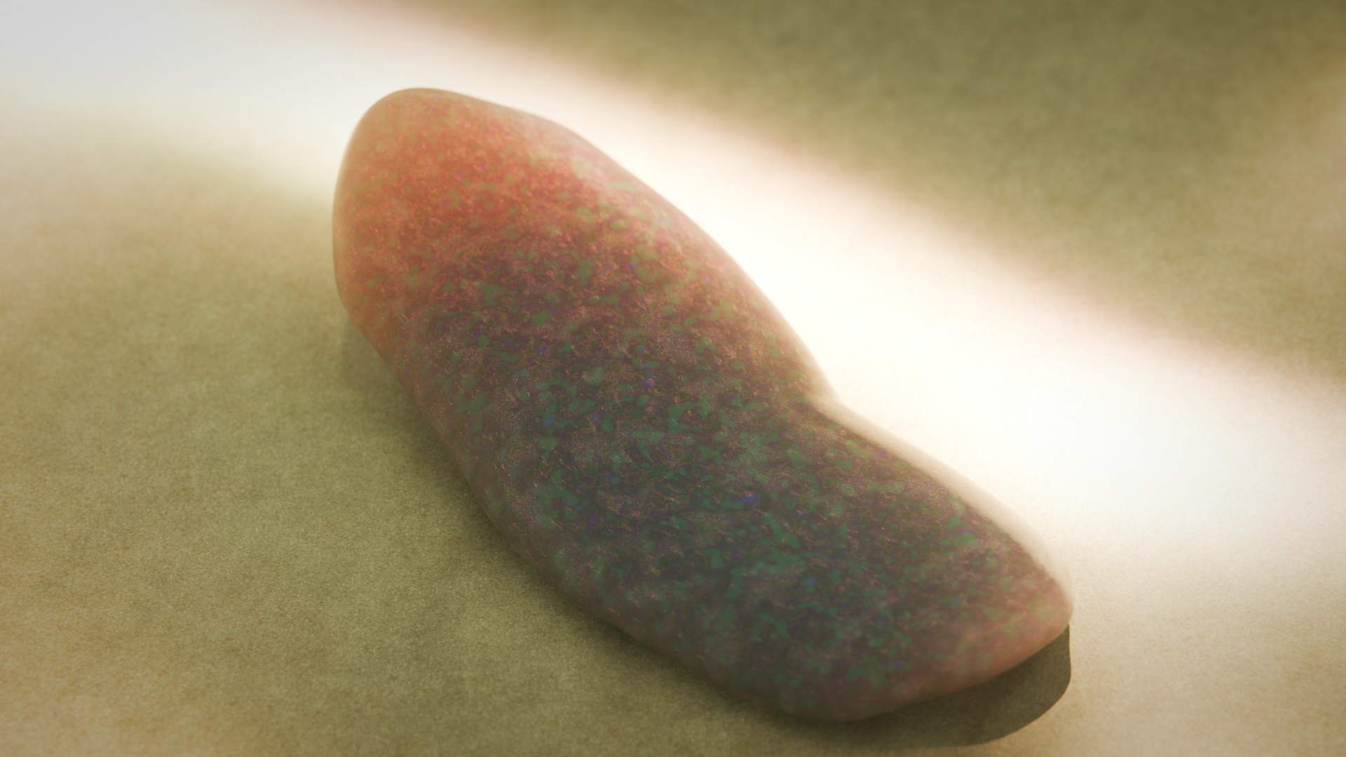  Odontogriphus Low-poly 3D model_2