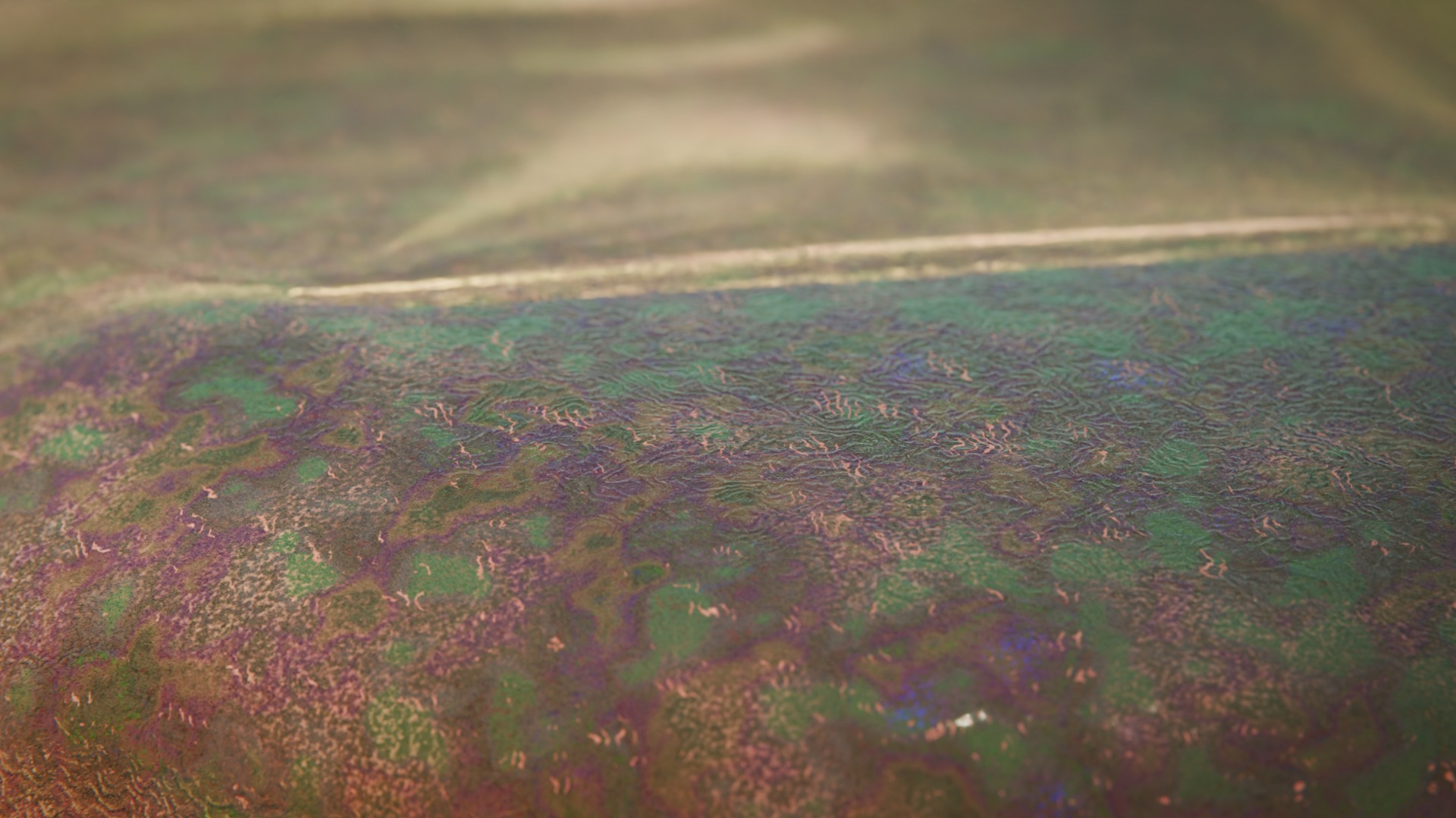  Odontogriphus Low-poly 3D model_5