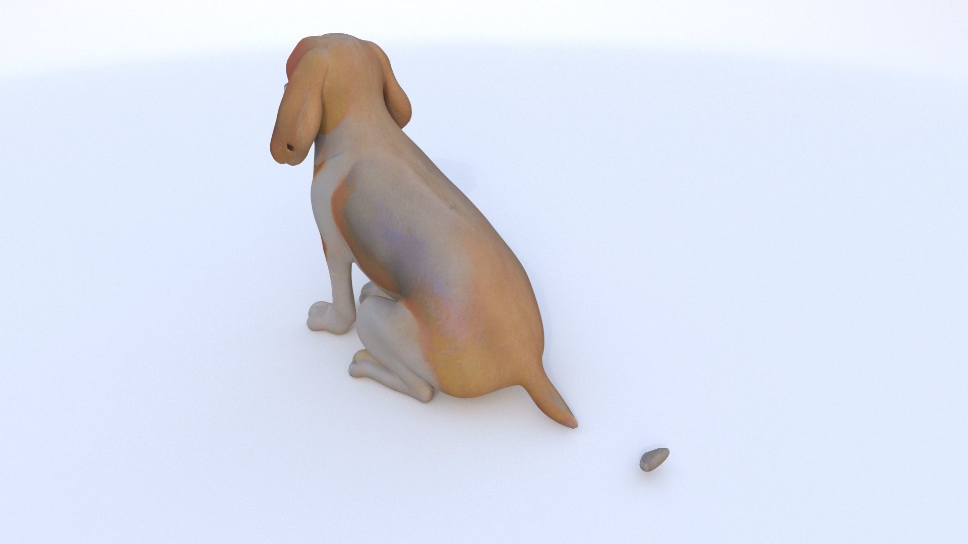 Beagle seated 3D model_3