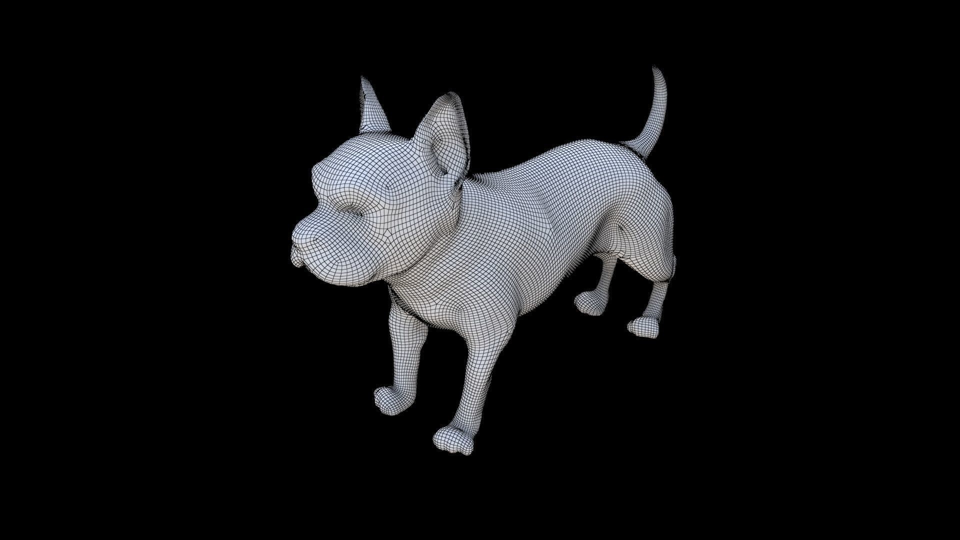 Boston Terrier 3D model_5