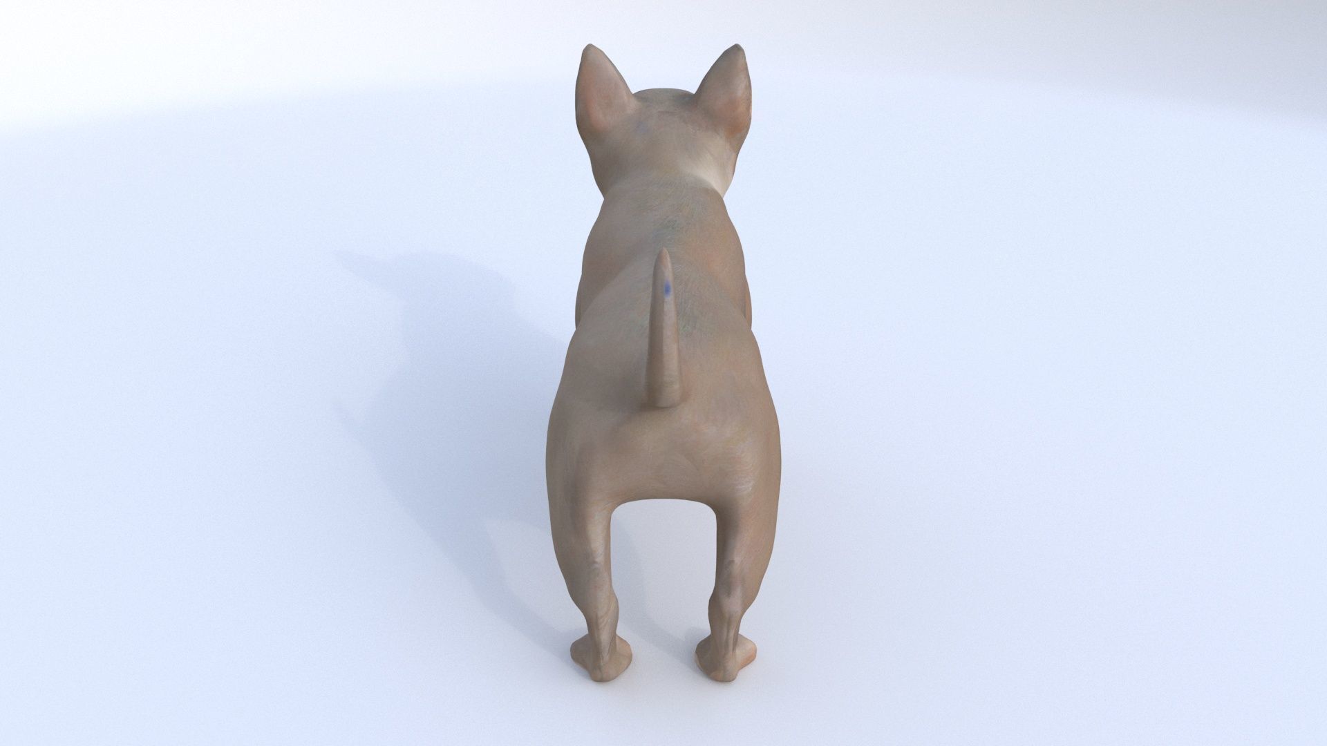 Boston Terrier 3D model_2