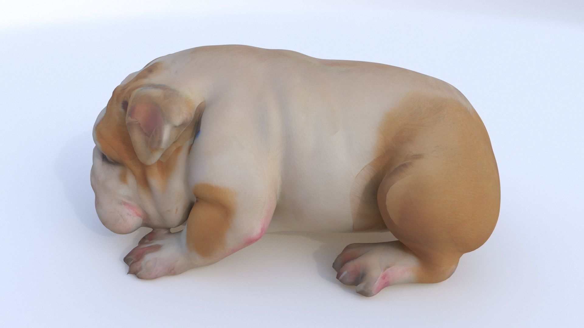 Bulldog sleeping 3D model_2