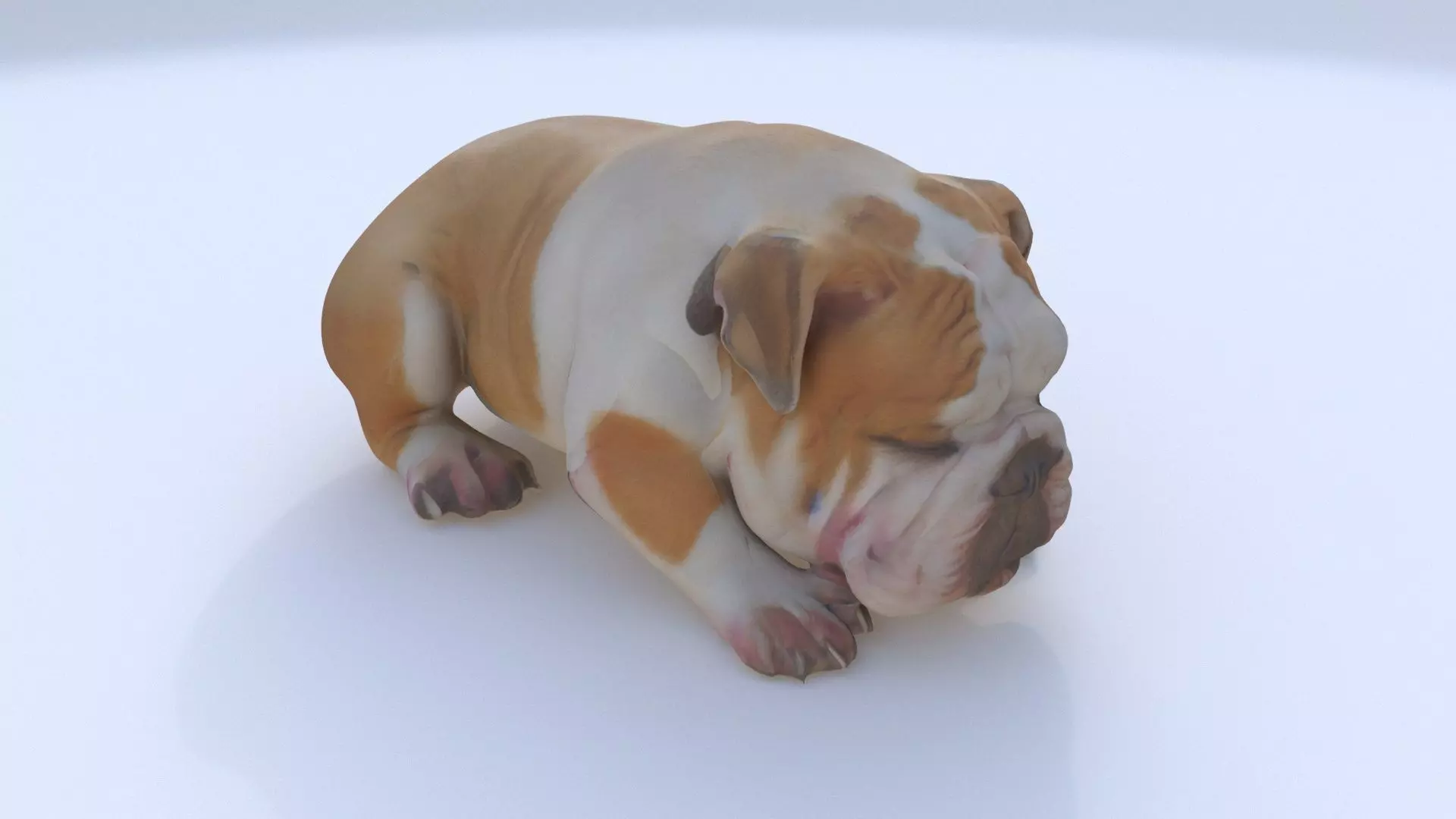 Bulldog sleeping 3D model_0