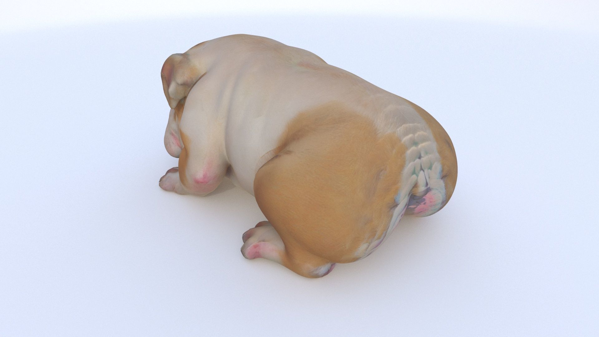Bulldog sleeping 3D model_3