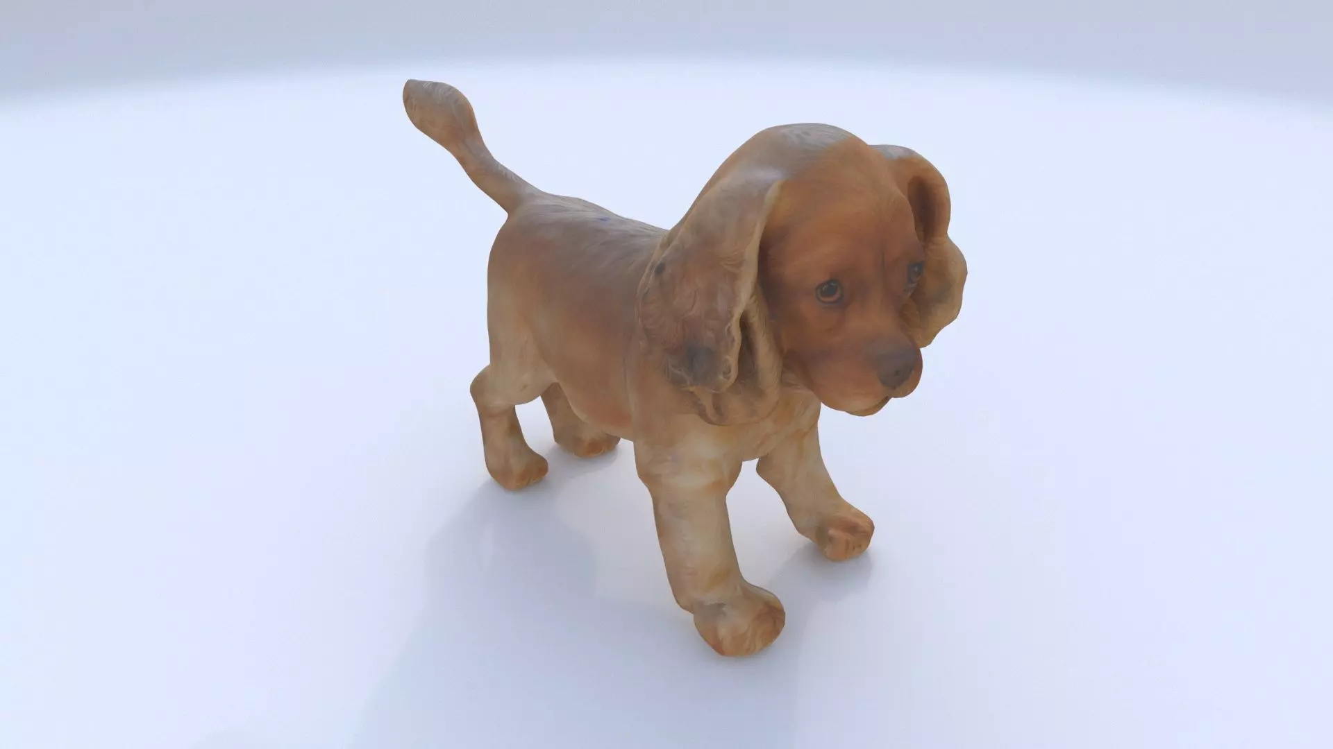 Cocker Spaniel 3D model_0