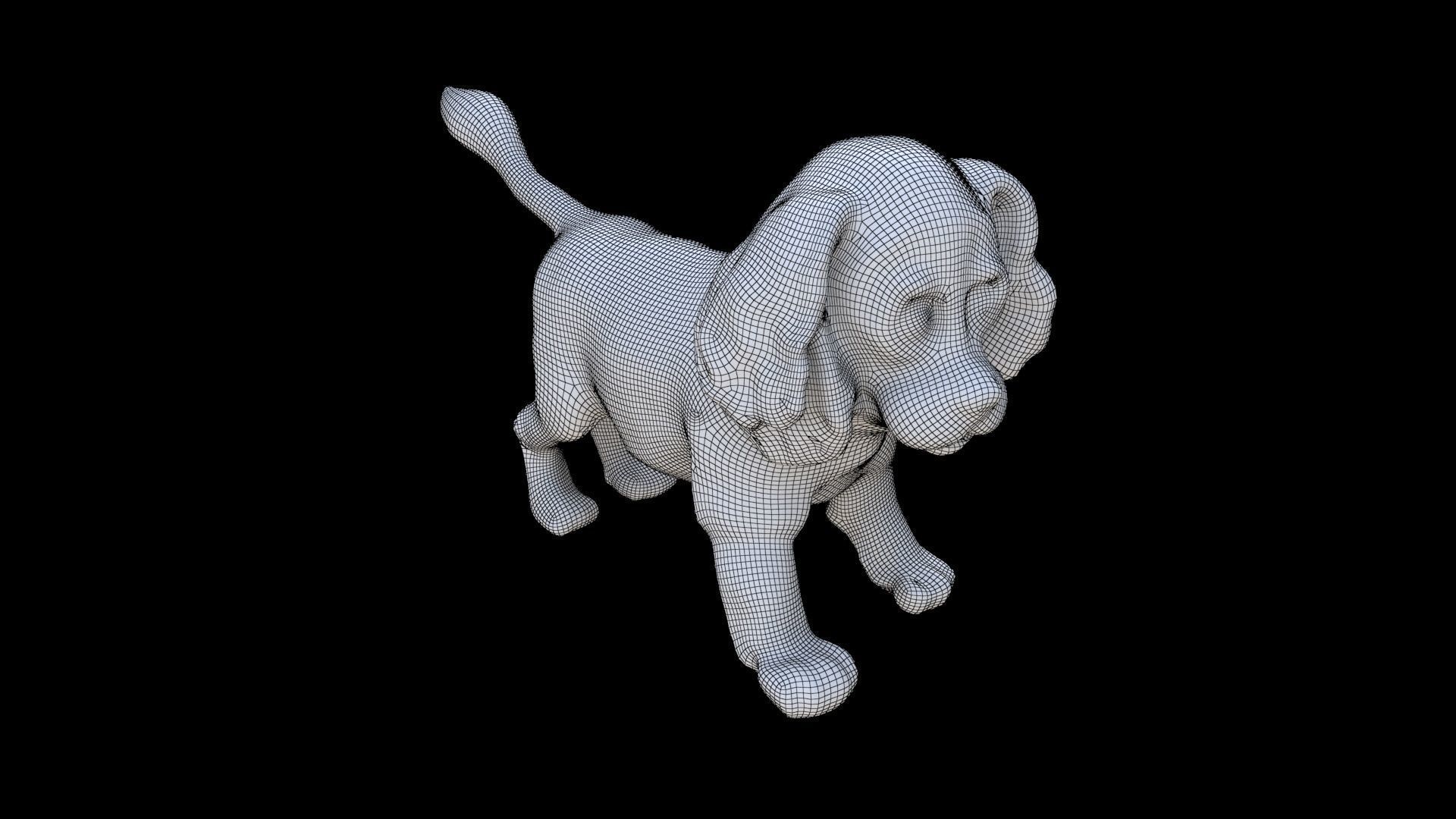 Cocker Spaniel 3D model_5