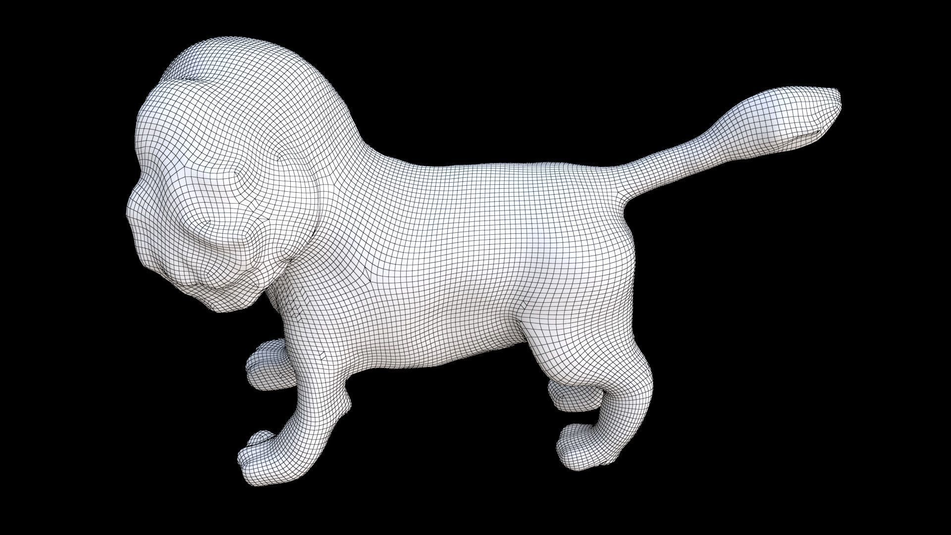 Cocker Spaniel 3D model_7