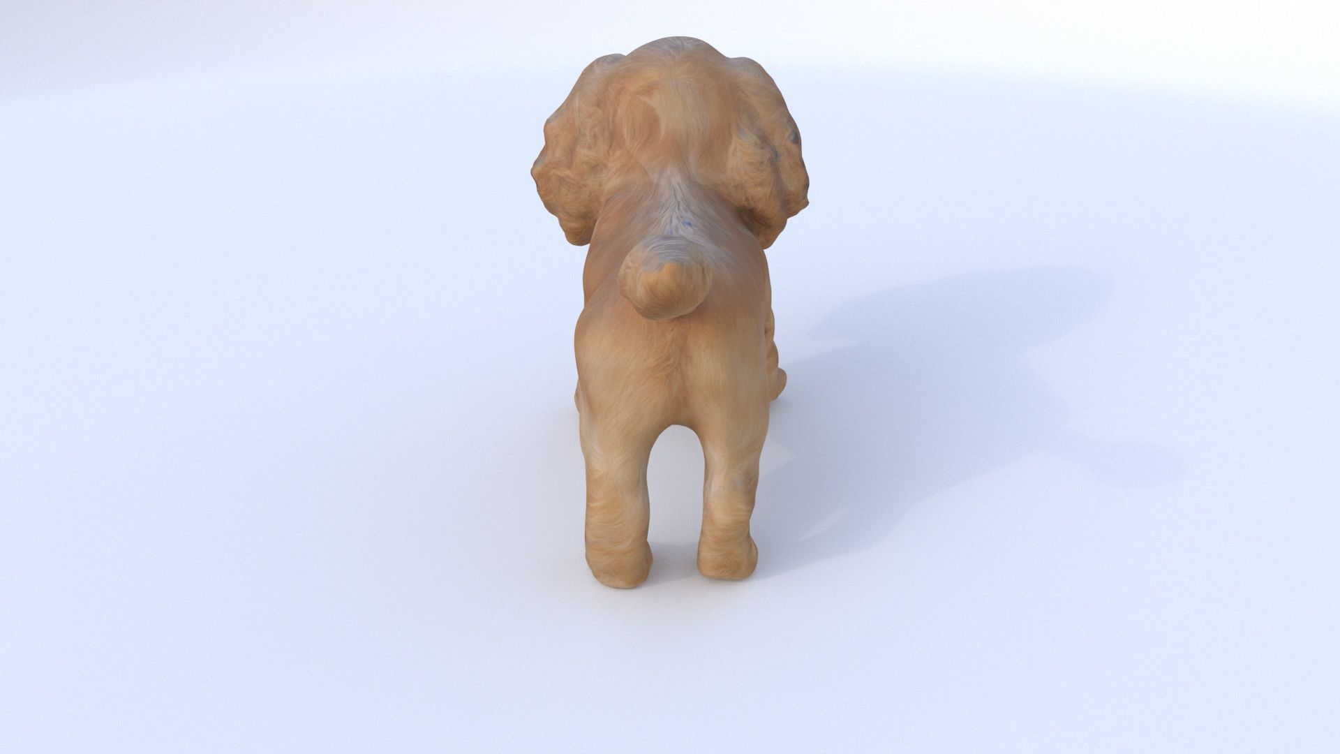 Cocker Spaniel 3D model_4