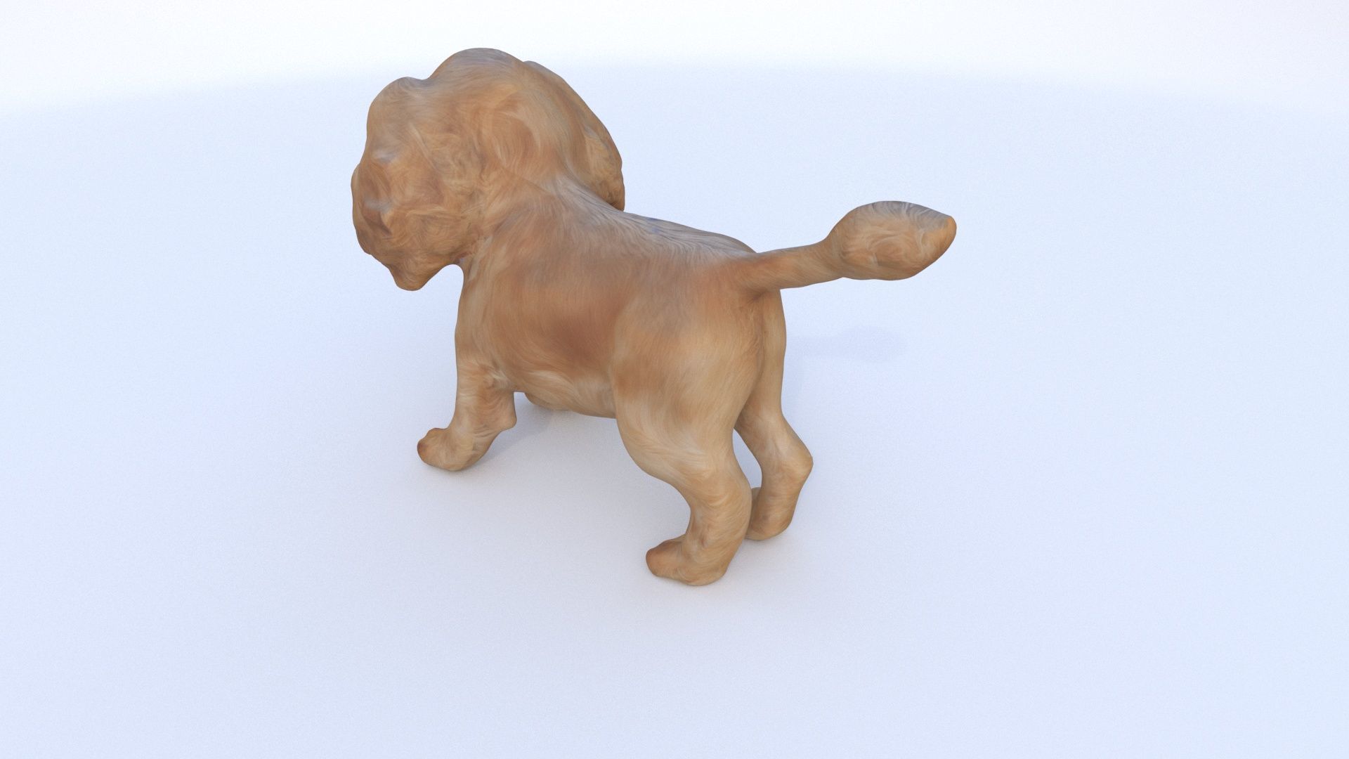 Cocker Spaniel 3D model_3