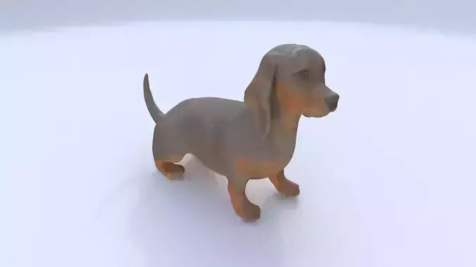 Dachshund seated 3D model
