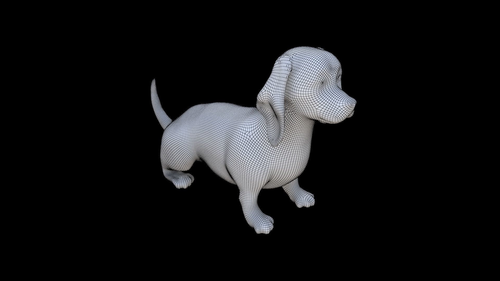 Dachshund seated 3D model_5