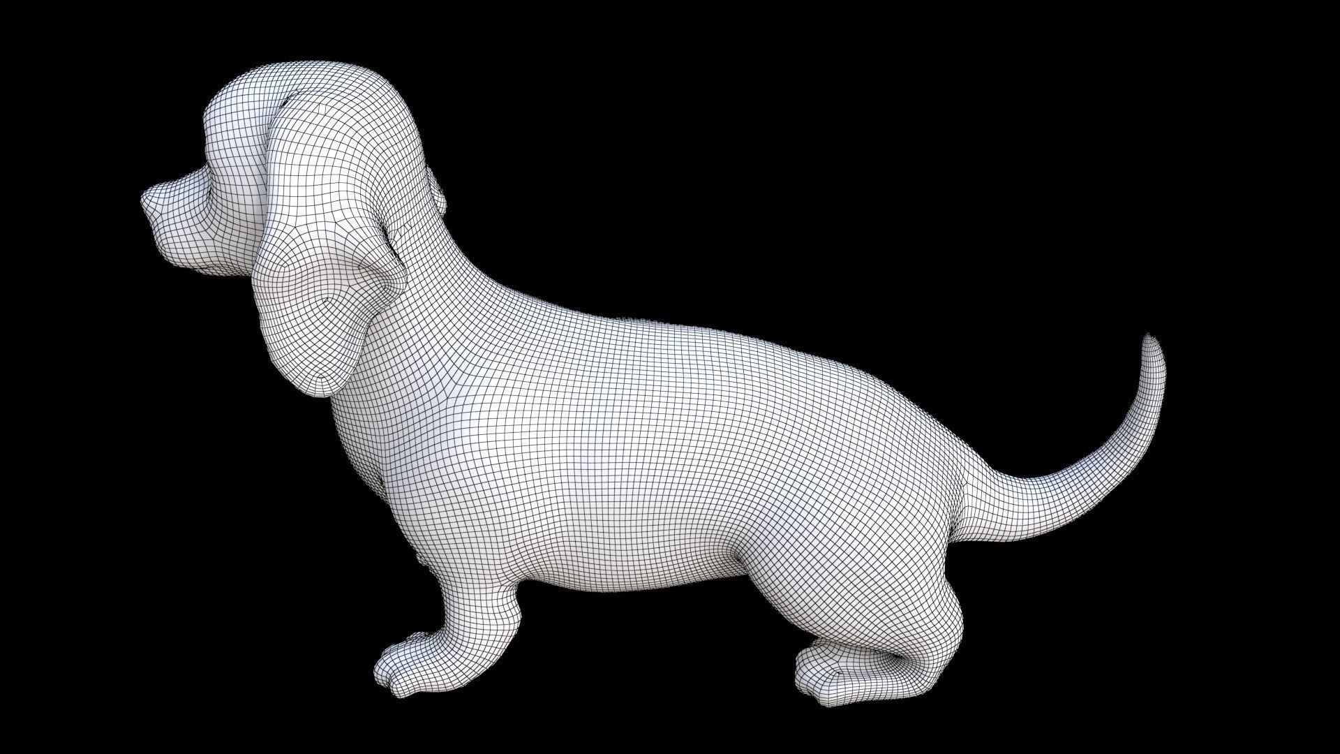 Dachshund seated 3D model_7