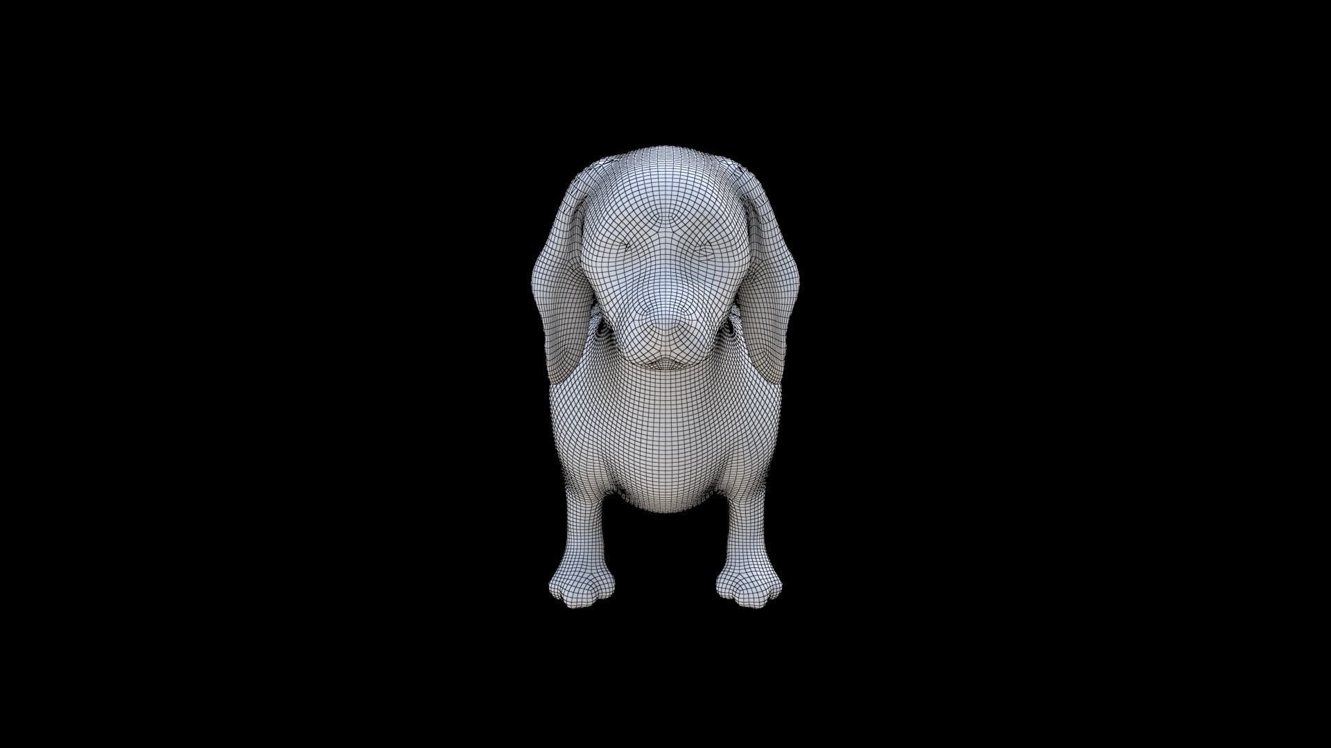 Dachshund seated 3D model_6