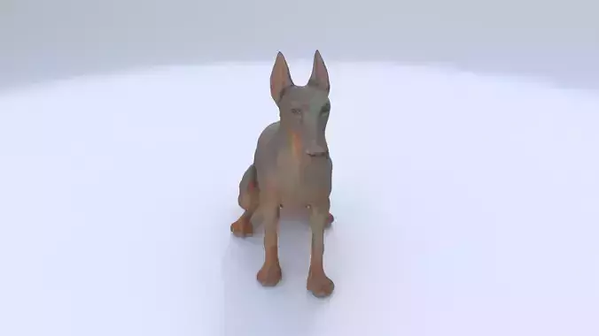 Doberman Pinscher seated 3D model