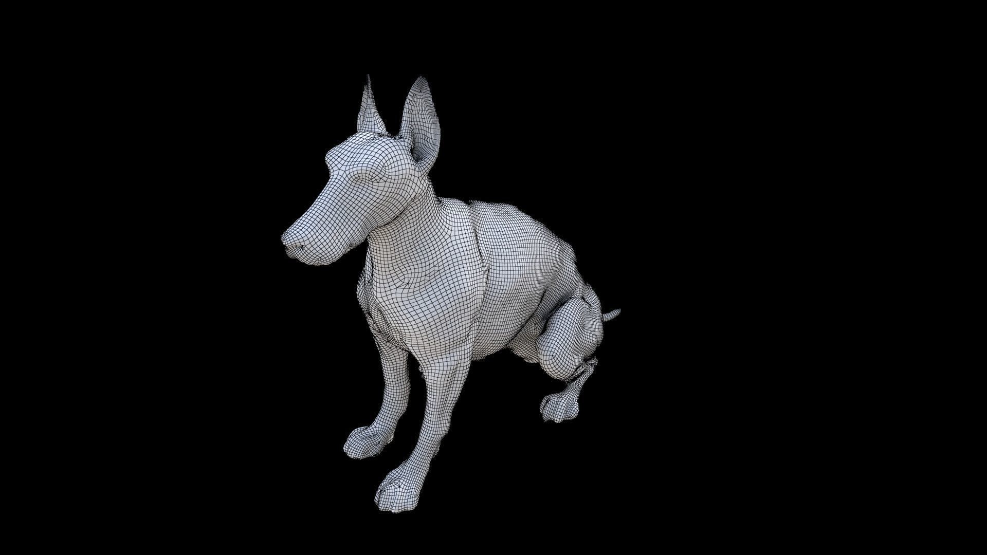 Doberman Pinscher seated 3D model_6