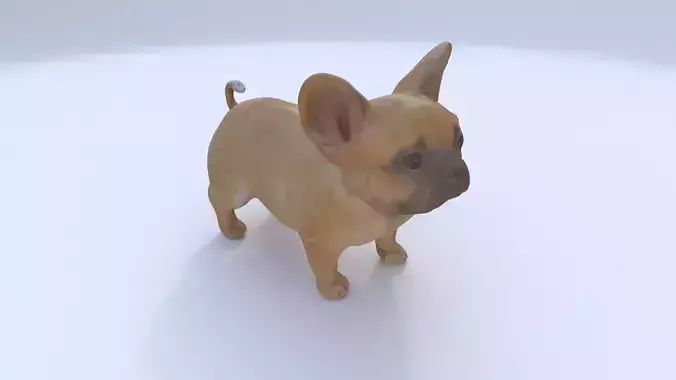 French Bulldog 3D model
